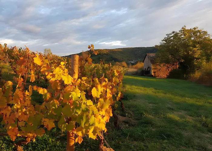 Holiday home Gite La Fontanelle Proche Rodez